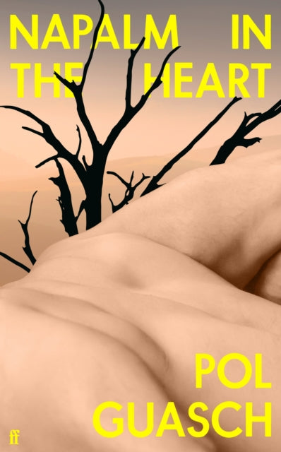 9780571375257-Napalm in the Heart : 'Innovative and original' COLM TOIBIN