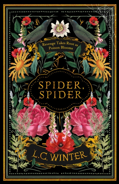 9780715655825, Spider, Spider : 'Black as night and as cleverly woven as a spider's web' Anna Mazzola