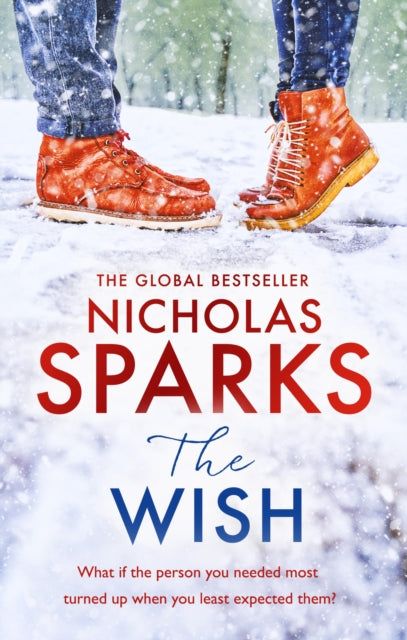 9780751567830-The Wish