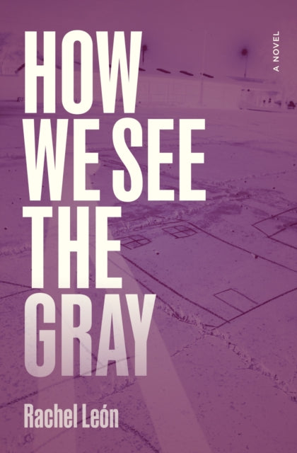 9780810149892, How We See the Gray : A Novel