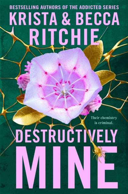 9781035025114-Destructively Mine