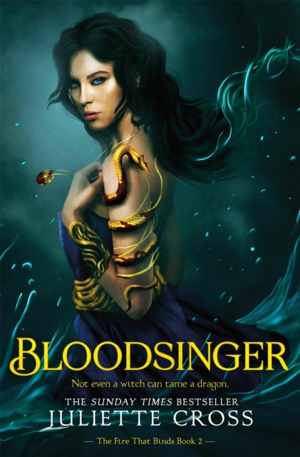 9781035052493, Bloodsinger