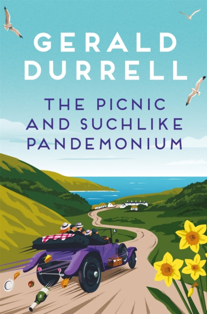 9781035085316, The Picnic and Suchlike Pandemonium