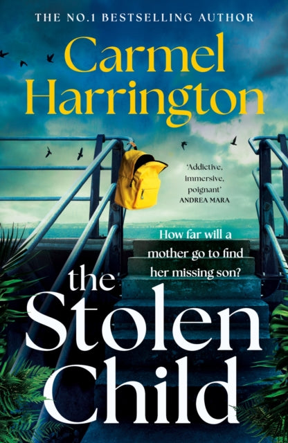 9781035421404, The Stolen Child : the gripping emotional thriller with a twist you'll never see coming