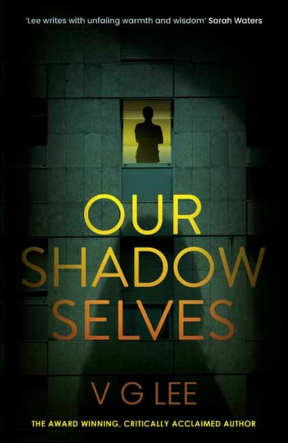 9781068389382, Our Shadow Selves