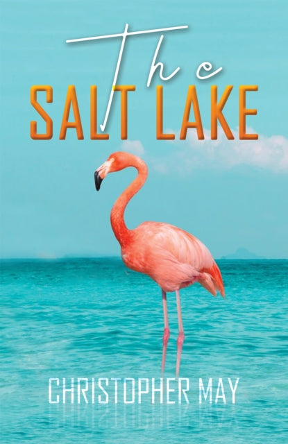9781398413719-The Salt Lake