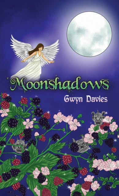 9781398413924-Moonshadows
