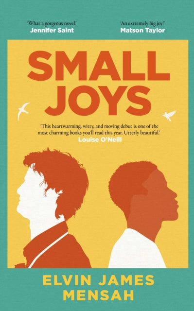 9781398514881-Small Joys : A Buzzfeed 'Amazing New Book You Need to Read ASAP'