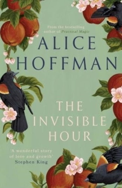 9781398526211-The Invisible Hour