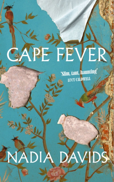 9781398544048, Cape Fever