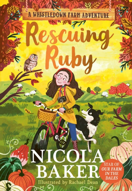 9781398544352, Rescuing Ruby : Volume 2