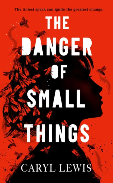 9781398549272, The Danger of Small Things : The YA debut from an award-winning and bestselling Welsh storyteller