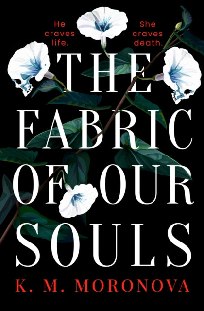 9781398724761-The Fabric of Our Souls : The heartbreaking, romantic  and emotional thriller that TikTok readers are crying and swooning over