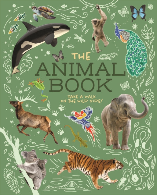9781398835726-The Animal Book : Take a Walk on the Wild Side!