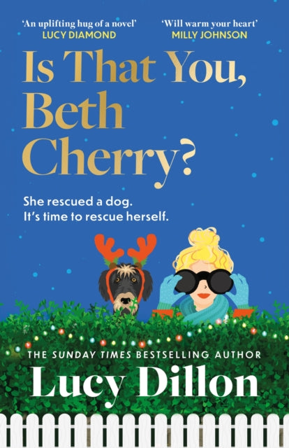 9781399719742, Is That You, Beth Cherry? : the warm and witty new novel from the author of Irresponsible Adult