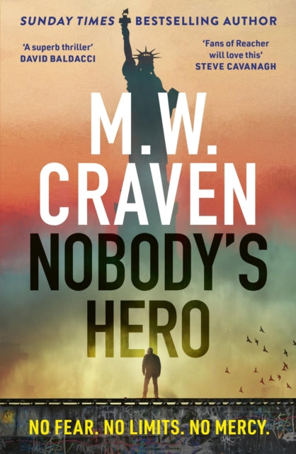 9781408717608-Nobody's Hero