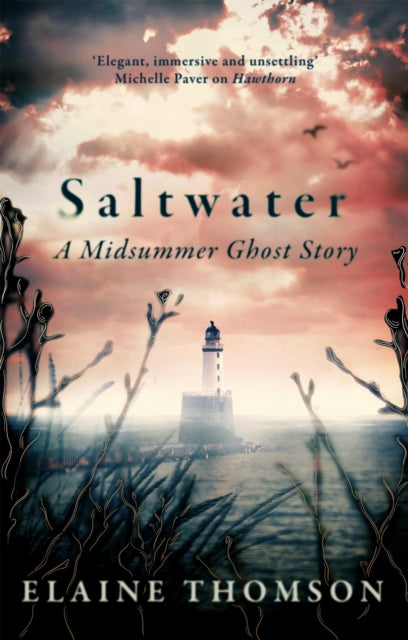9781408724729, Saltwater : A midsummer ghost story