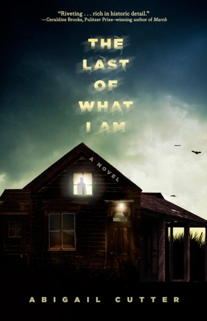 9781454951780-The Last of What I Am : A Novel
