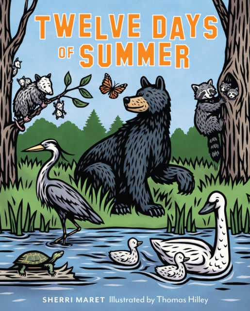 9781493081608-Twelve Days of Summer