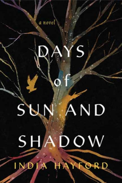 9781496753144, Days of Sun and Shadow