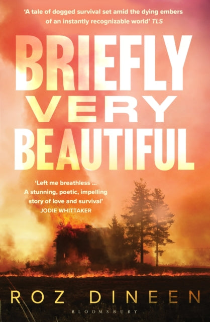 9781526659200-Briefly Very Beautiful : Shortlisted for the Climate Fiction Prize 2024