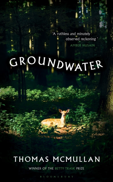9781526678027, Groundwater : `Complex, chilling, masterful' Financial Times