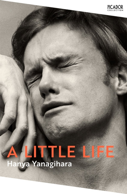 9781529077216-A Little Life
