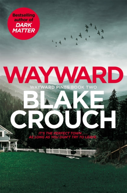 9781529099850-Wayward