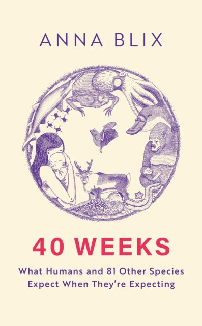 9781529434804-40 Weeks : What Humans and 81 Other Species Expect When They're Expecting