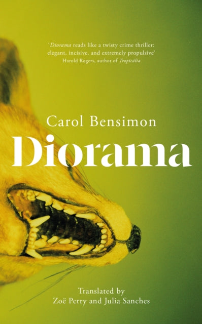 9781529438451, Diorama : an engrossing suspense novel set in 1980s Brazil