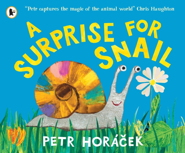 9781529525502, A Surprise for Snail