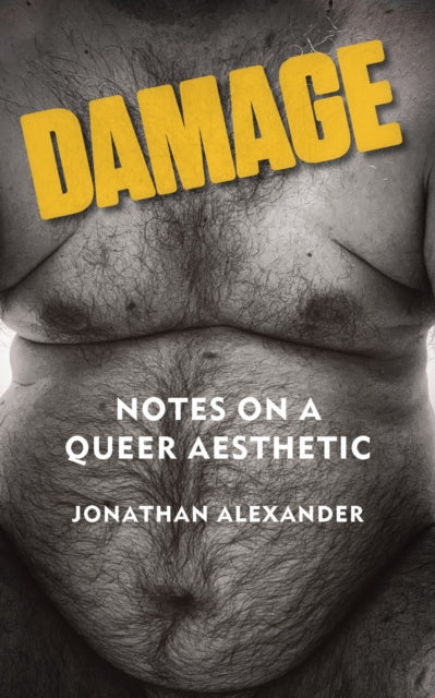 9781531513160, Damage : Notes on a Queer Aesthetic