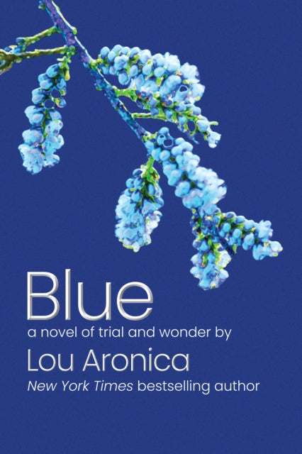 9781611883626, Blue : A Novel of Trial and Wonder
