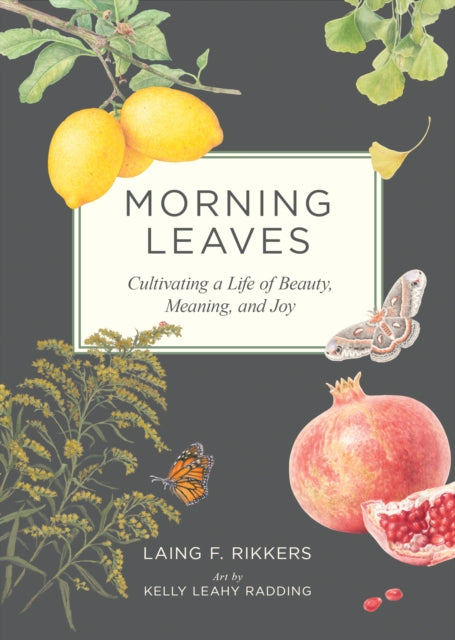 9781636284729, Morning Leaves : Cultivating a Life of Beauty, Meaning, and Joy
