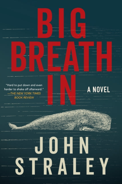 9781641297394, Big Breath In