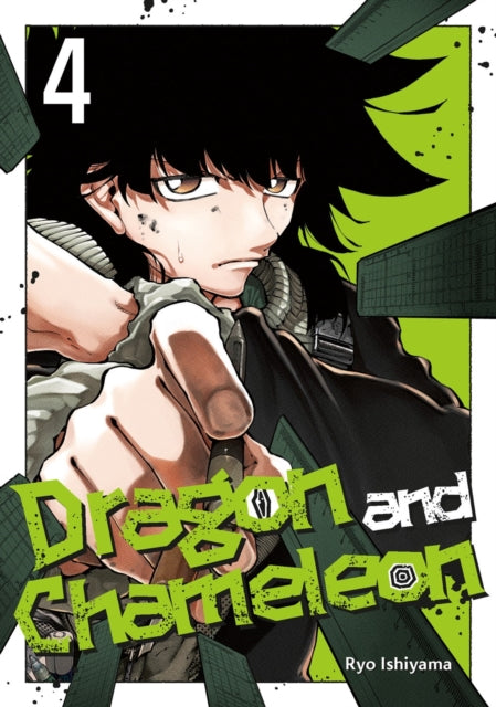 9781646093540, Dragon and Chameleon 04