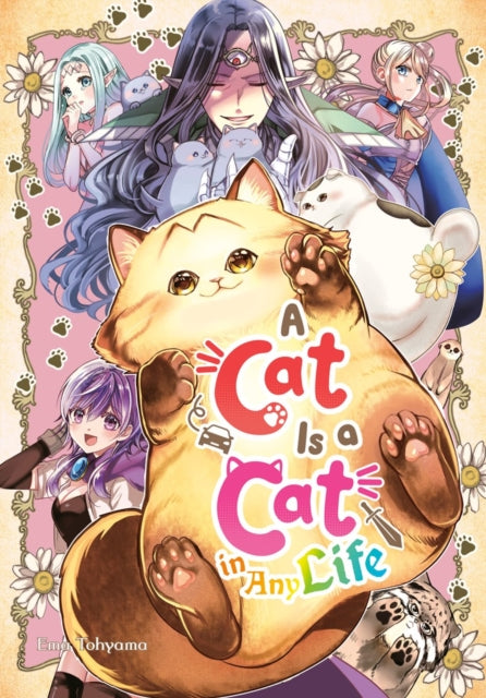 9781646094714, A Cat Is a Cat in Any Life