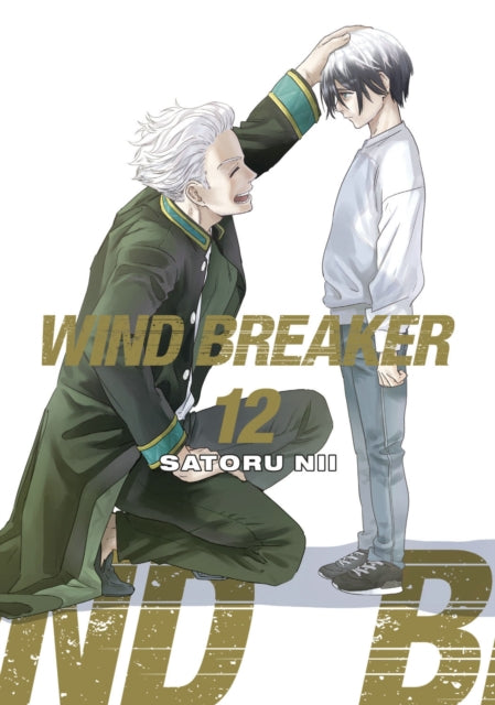 9781646519590, WIND BREAKER 12