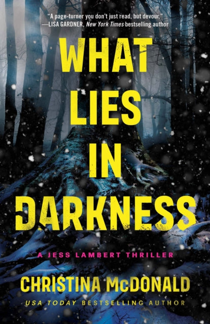 9781662511646-What Lies in Darkness