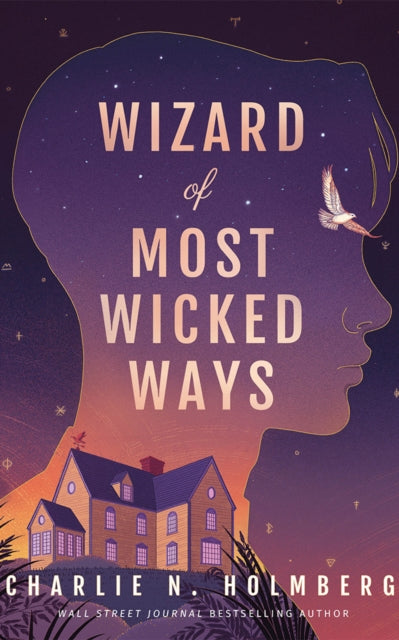 9781662516825-Wizard of Most Wicked Ways