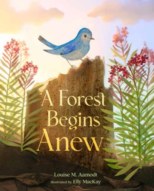 9781662620065, A Forest Begins Anew
