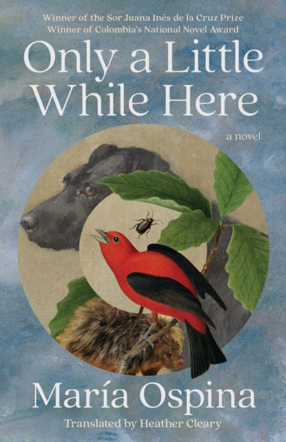 9781668097083, Only a Little While Here : A Novel