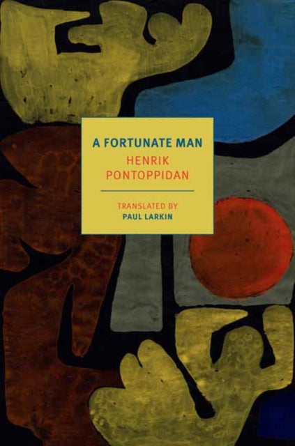 9781681379272-A Fortunate Man