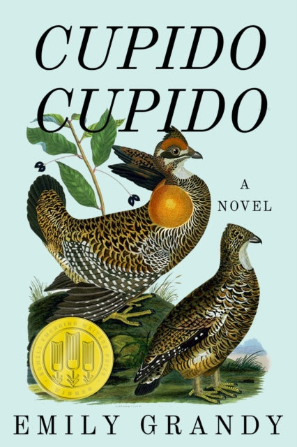 9781682832806, Cupido Cupido : A Novel