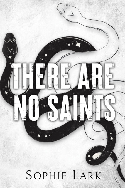 9781728295411-There Are No Saints