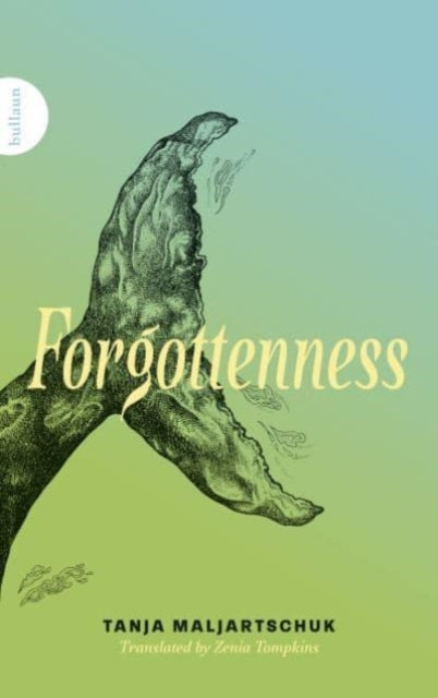 9781739842345-Forgottenness