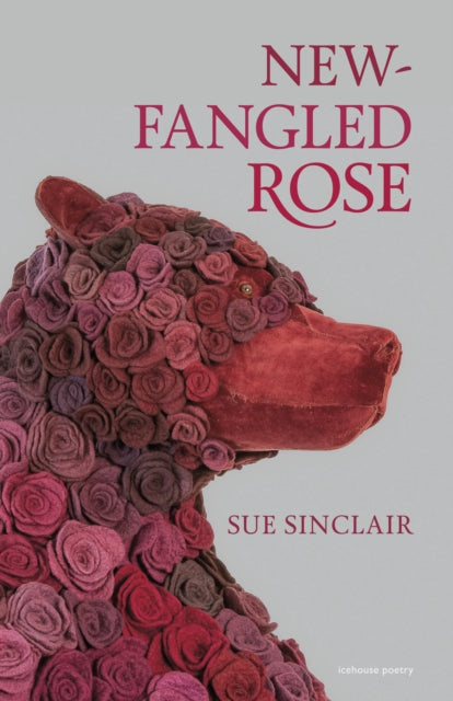 9781773104645, New-Fangled Rose