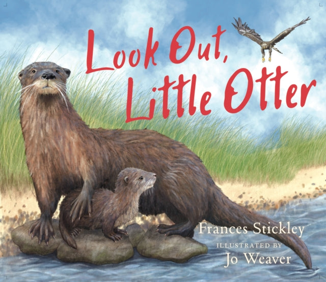 9781780279800, Look Out, Little Otter