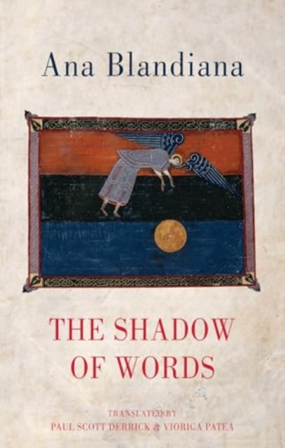 9781780375403-The Shadow of Words