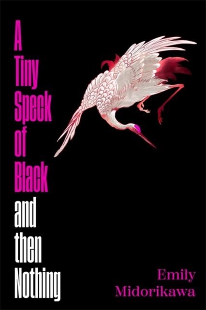 9781786584793, A Tiny Speck of Black and Then Nothing : Winner of the Lucy Cavendish Prize for Fiction